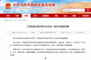 江苏今日爆料连云港新闻,聚焦今日热点事件